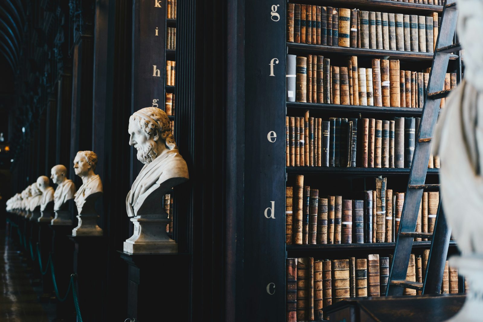A research library gallery of bound volumes and marble busts, the kind of record an EB-2 NIW petition documents